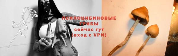 таблы Беломорск