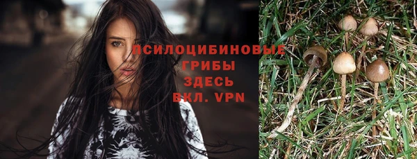 винт Белоозёрский