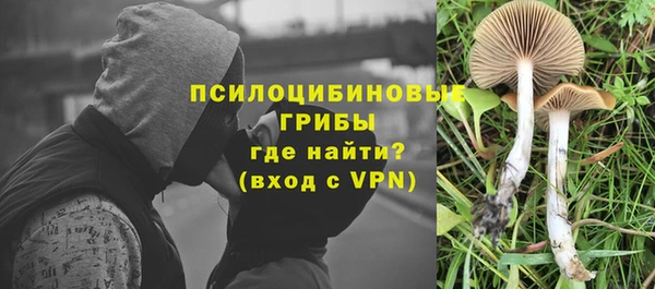 a pvp Баксан