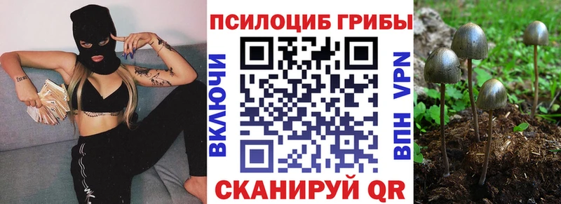 Псилоцибиновые грибы Cubensis  Бокситогорск 